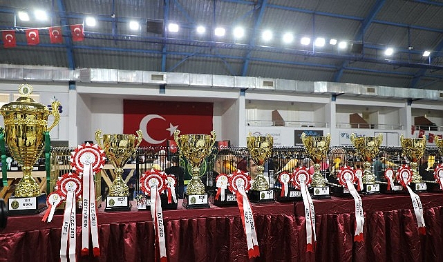 Dünyanın En Büyük Kanarya Yarışması Edremit’te